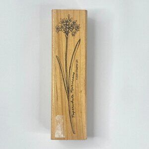 Paperwhite Narcissus Flower Rubber Stamp Wood Mount Stampin Up 2000 NEW 4.5in